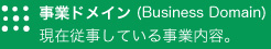 事業ドメイン（Business　Domain)